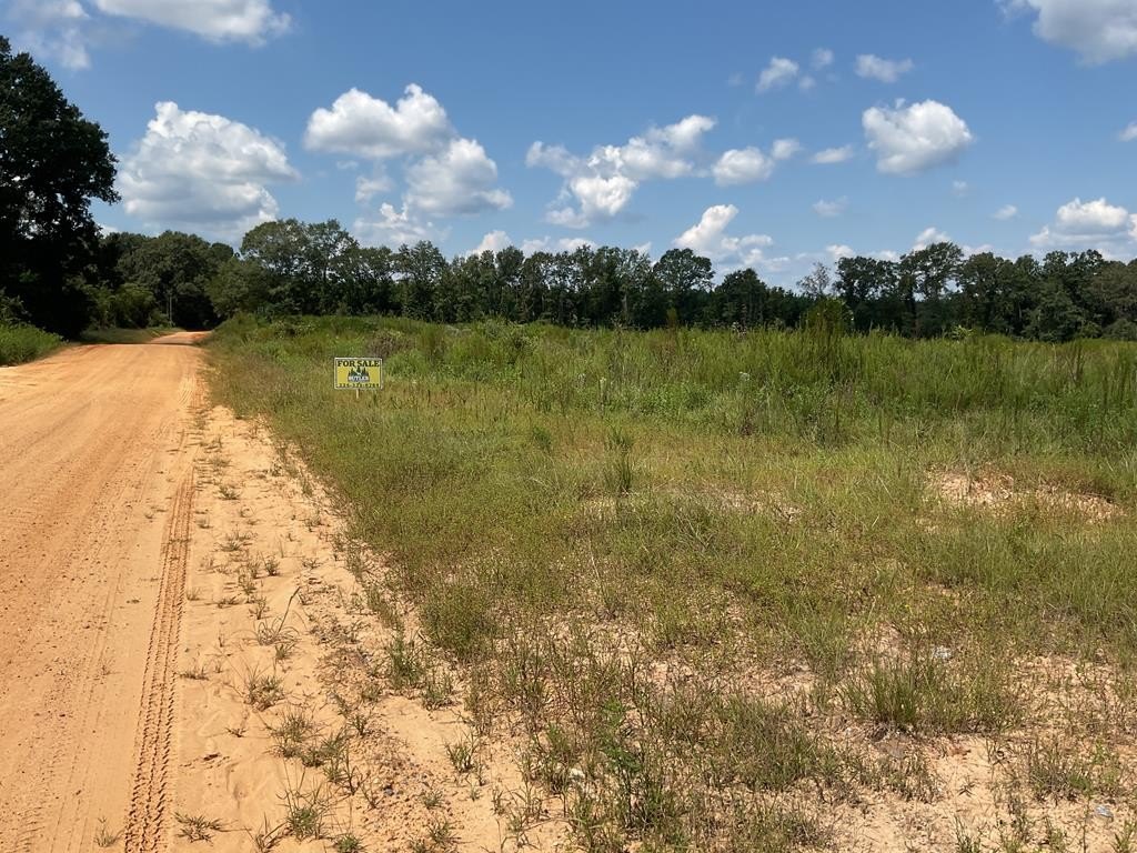 Other - 560 Pond Creek Road, Luverne, AL