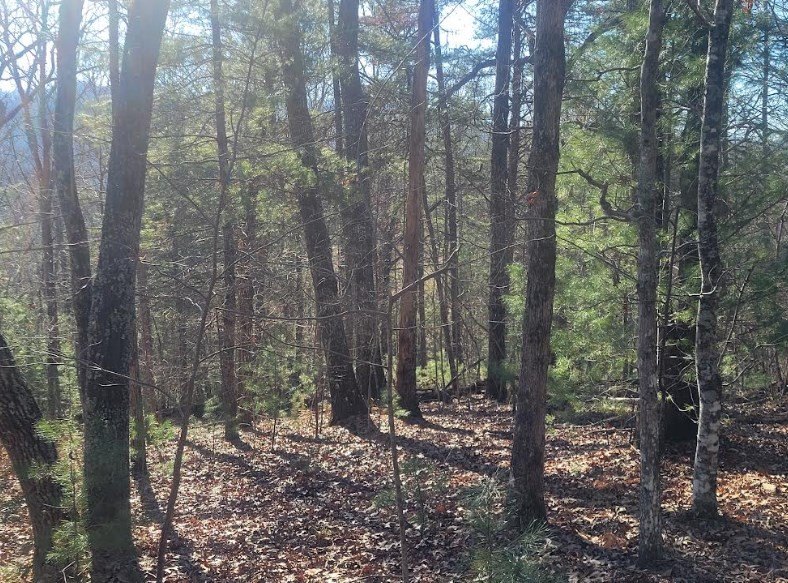 Other - Lot 26 Countryside Lane, Hayesville, NC