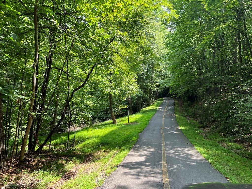 Other - Cascade Mountain lot: 12, Fancy Gap, VA