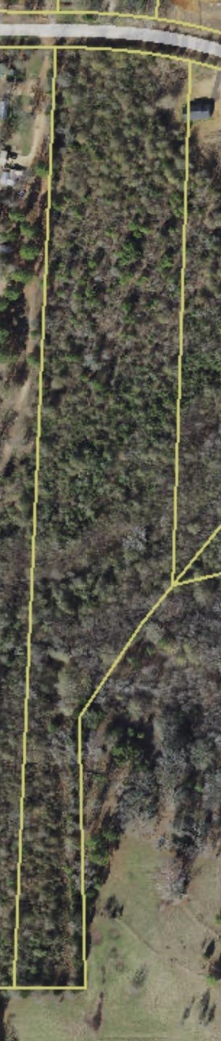 Other - TBD CR 471, Tyler, TX