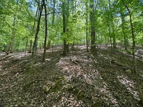Other - Lot 1972 Nancy Court, Ellijay, GA