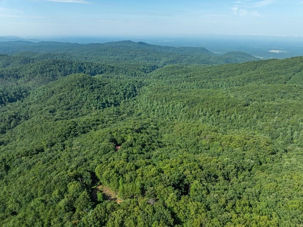 Other - LOT 9 Brushy Top Drive, Chatsworth, GA