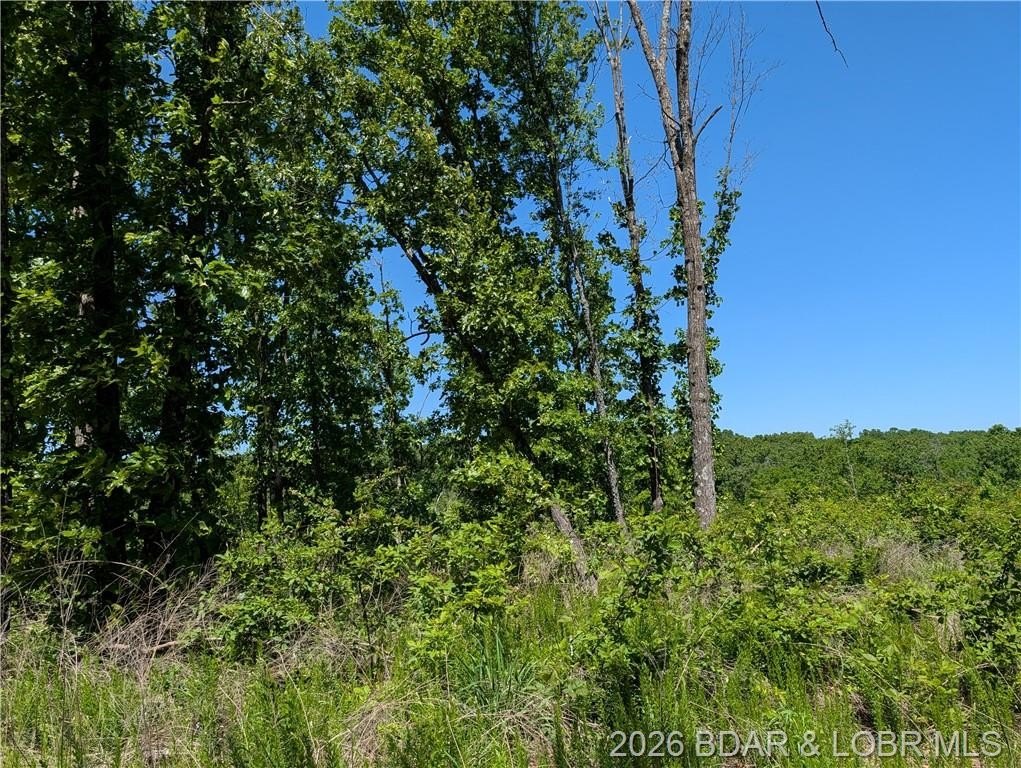 Other - 12907 Montana Road, Gravois Mills, MO