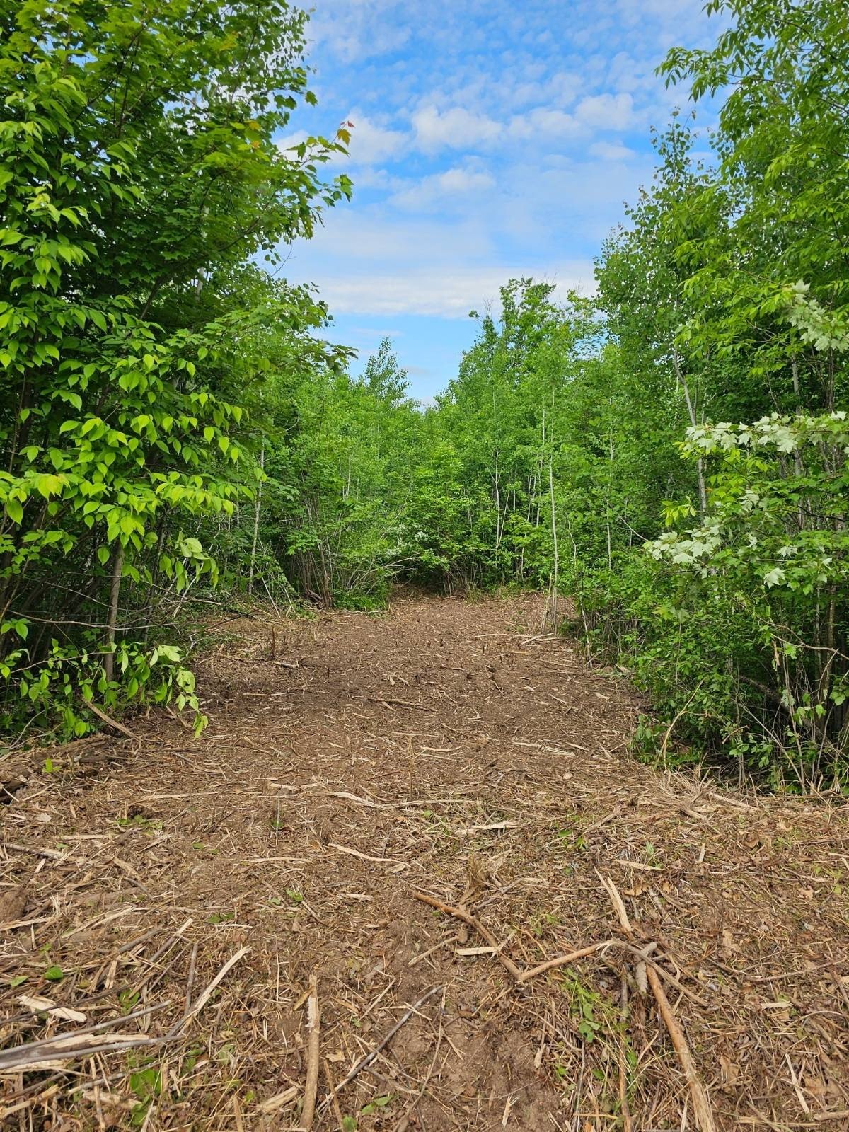 Other - 4 County Road T, Danbury, WI