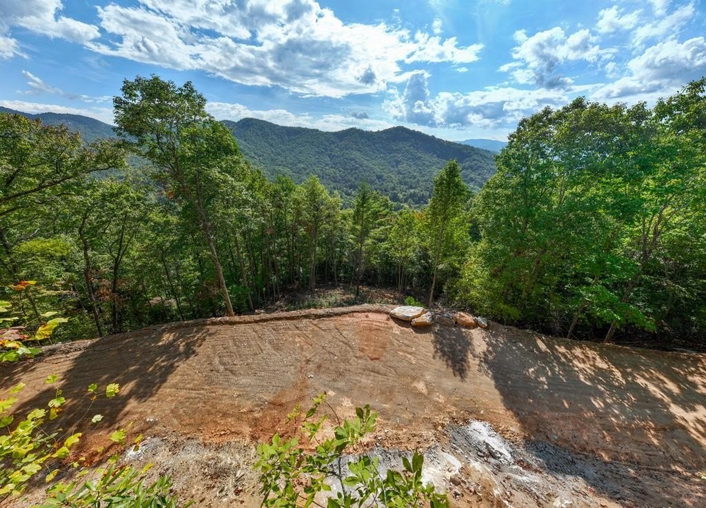 Other - Cliff View Drive lot: 12, Franklin, NC