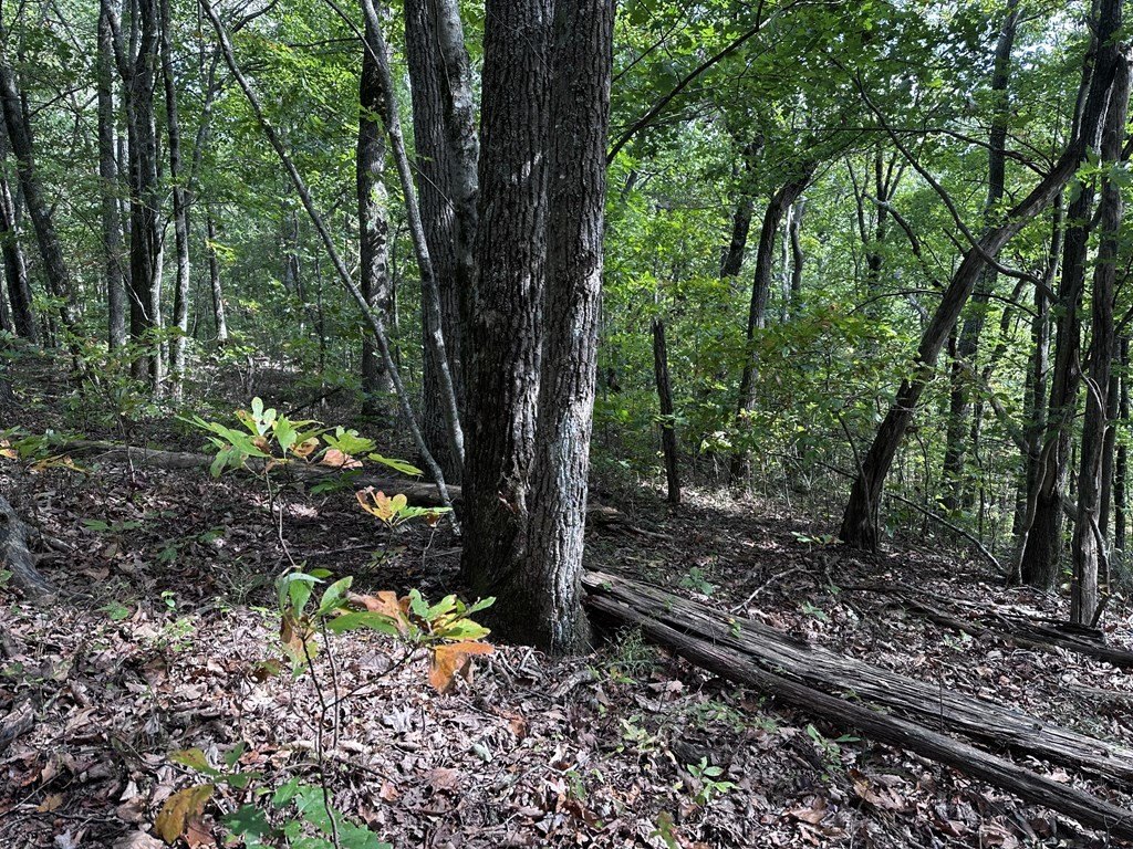 Other - 30 Andes Ridge, Jasper, GA