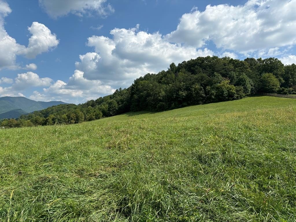 Other - 9.12-ac Mission Hill Road, Hayesville, NC