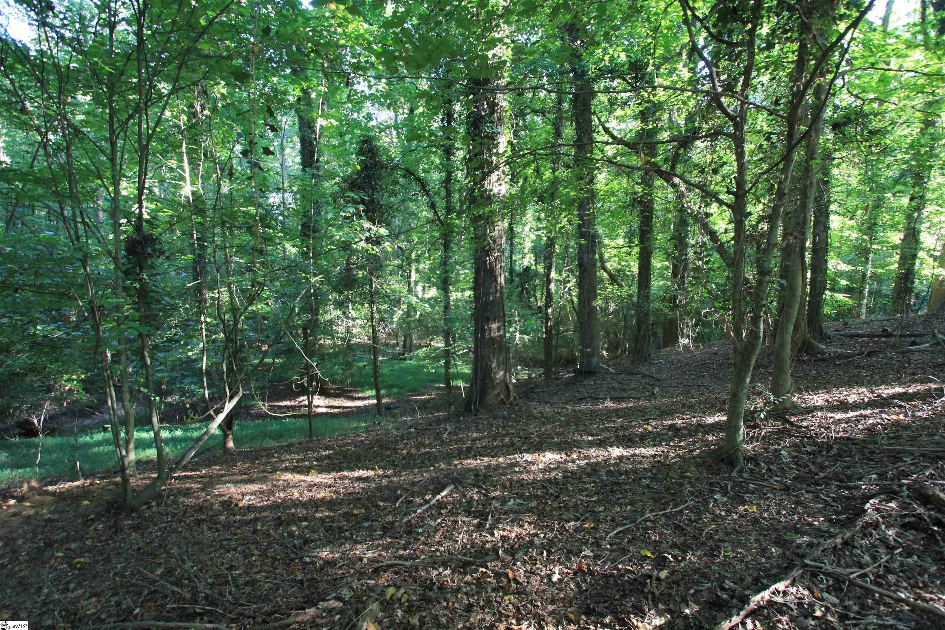 Other - Maple Court, Woodruff, SC