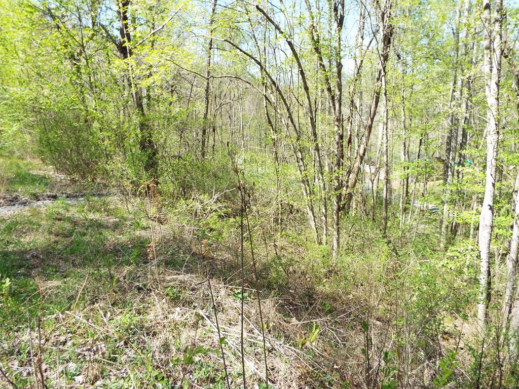Other - Bannick Springs Road, Whittier, NC
