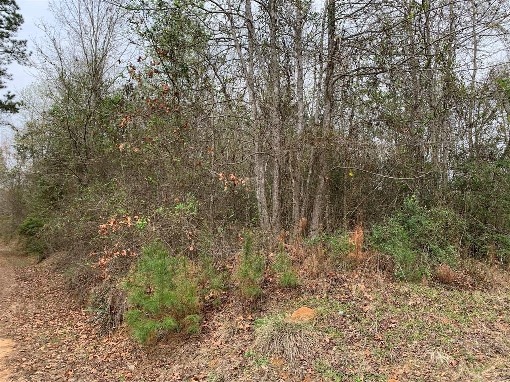 Plots and Land - 0 Sikes Orchard Road, Jamestown, LA