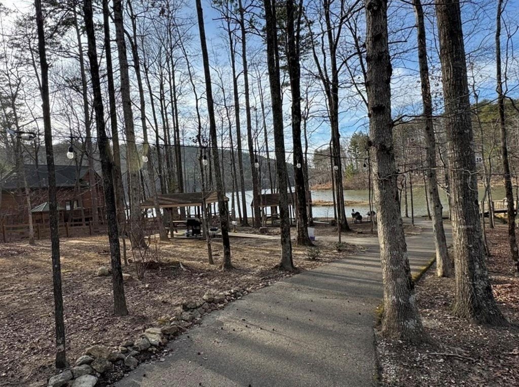 Single Family 3BR 3BA - 402 Acerose Drive, Jasper, GA