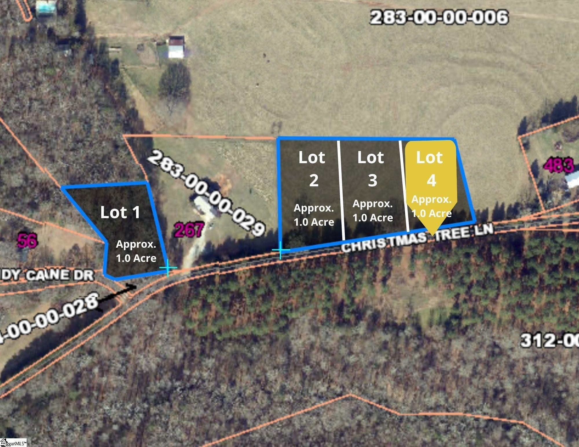 Other - 100 Living Waters Trail lot: #4, Woodruff, SC