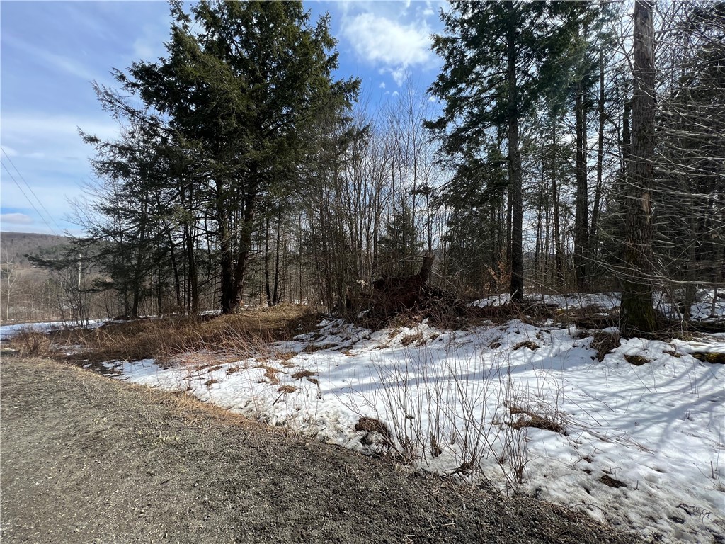 Other - Burdick Hill Road lot: 2, Otego, NY