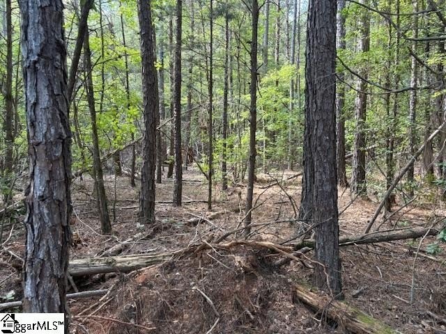 Other - Ball Park Road, Enoree, SC