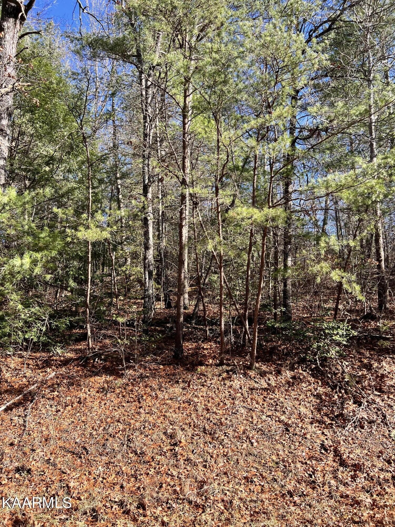 Other - 119 Natchez Circle, Crossville, TN