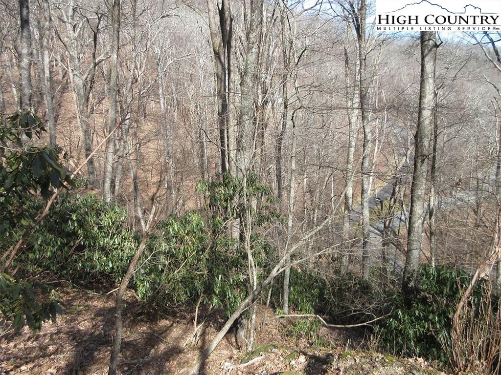 Other - Saul's Camp Road lot: 12, Blowing Rock, NC