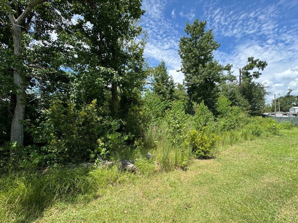 Single Family - 98 Holly Isles-Harvel Pond Rd, Donalsonville, GA