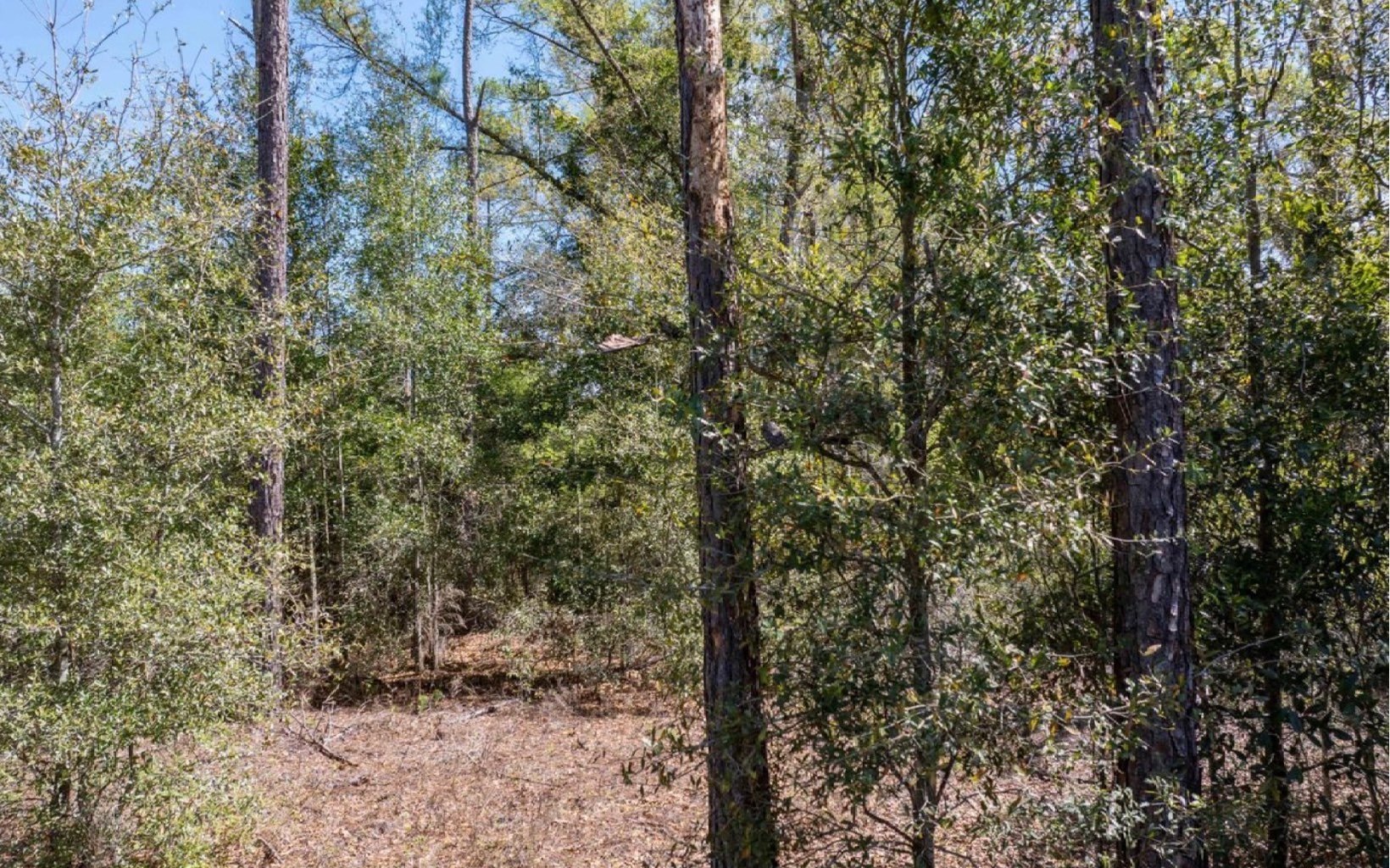 Other - TBD 197TH PLACE, Live Oak, FL