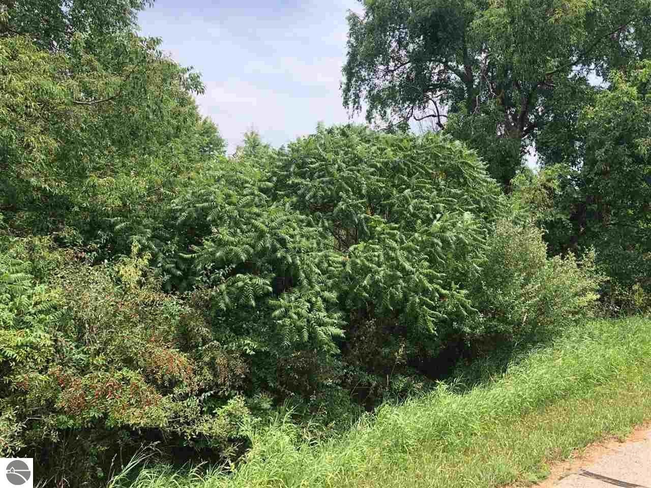 Other - 1006/1008 Laredo Drive, Lake Isabella, MI