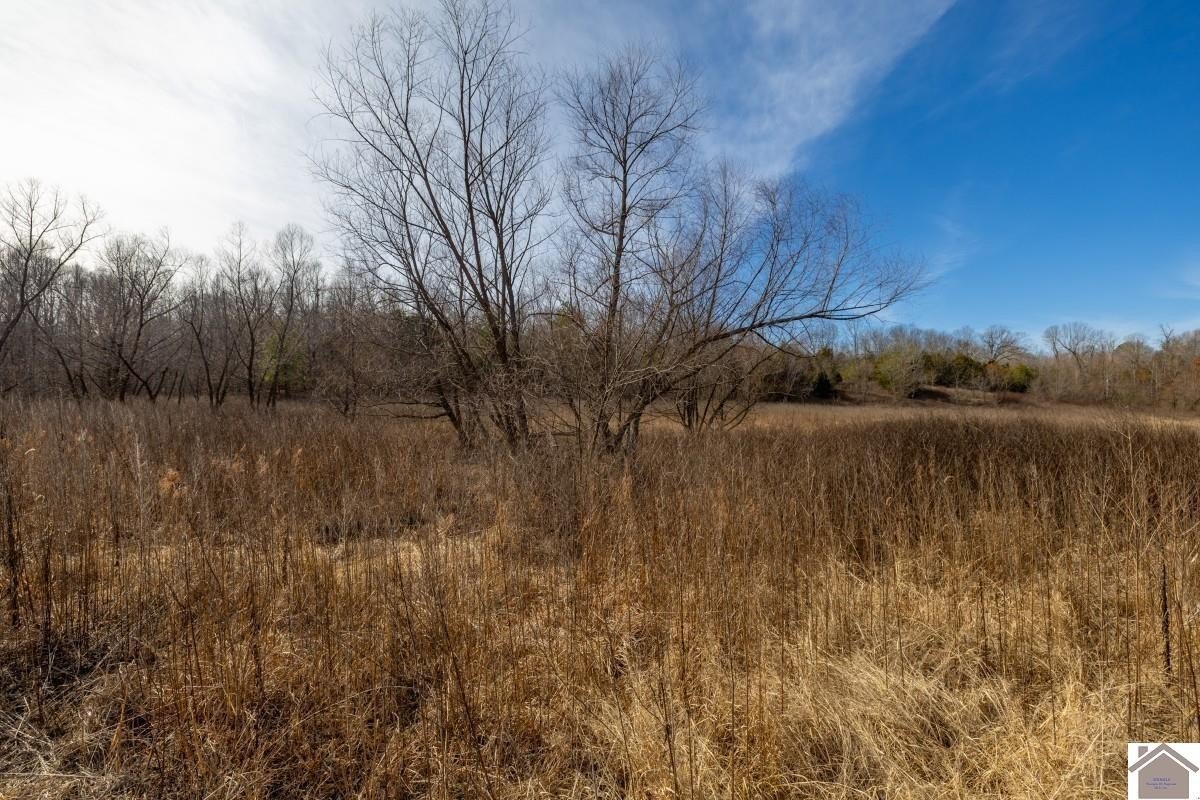 Plots and Land - 000 Lakewood Drive, Princeton, KY