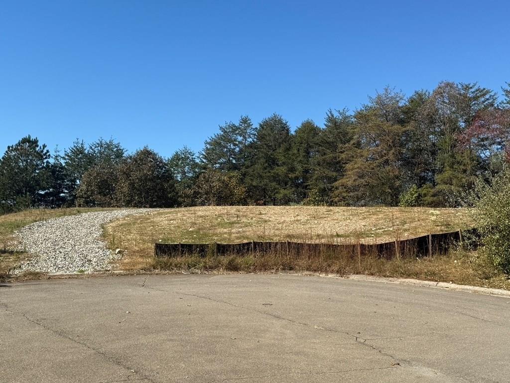 Other - Lot 11 Lindsey Lane, Blue Ridge, GA