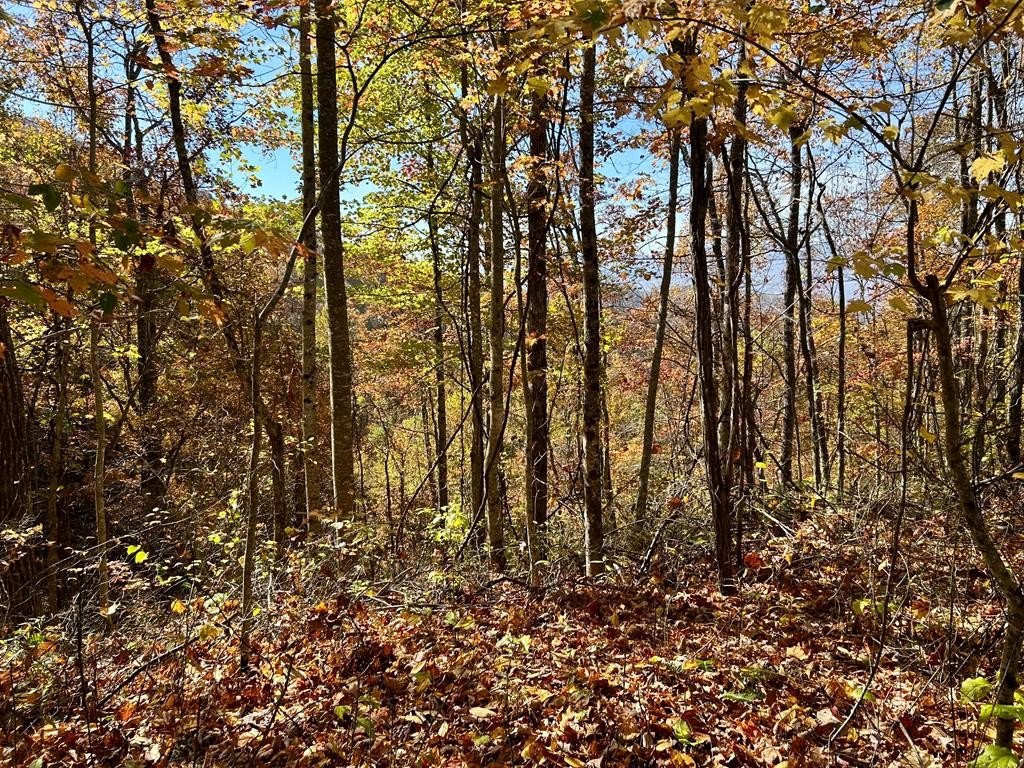Other - Owle View lot: 30, Bryson City, NC