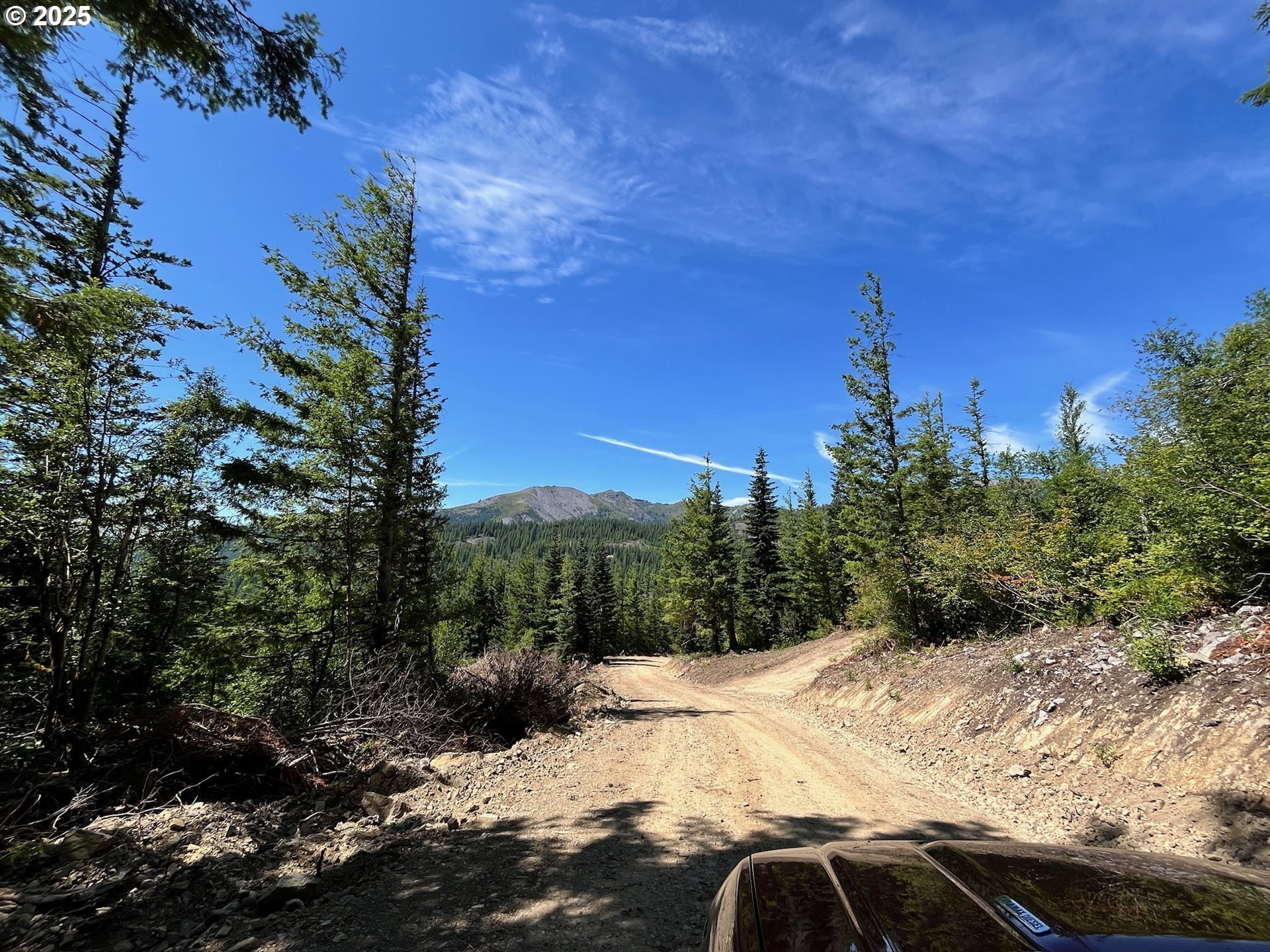Other - Skamania Mines Rd, Washougal, WA