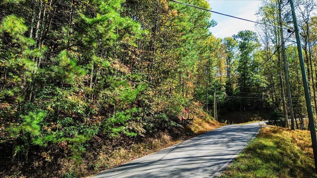 Other - 3468 Fir Lane, Ellijay, GA