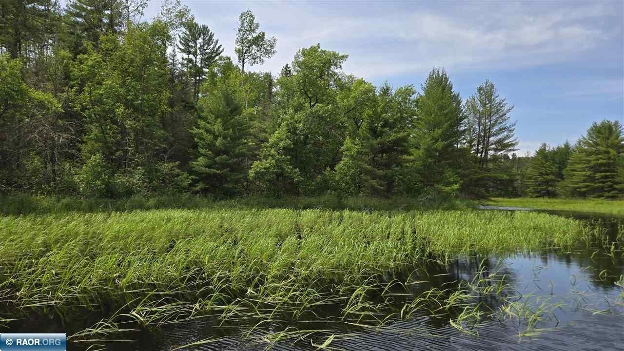 Other - TBD 40 N Rollick Creek, Crane Lake, MN