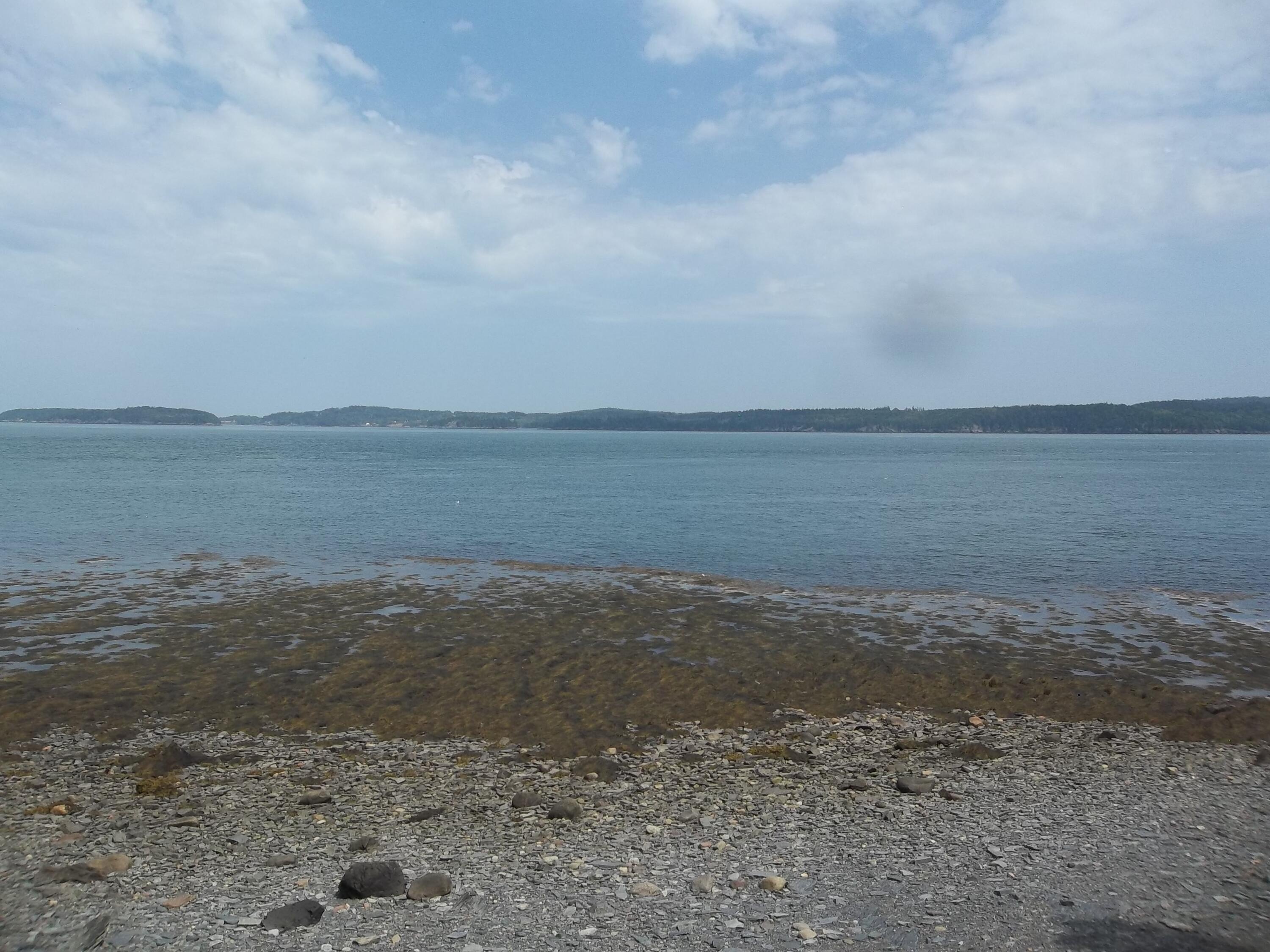 Other - 17 Indian Road, Eastport, ME