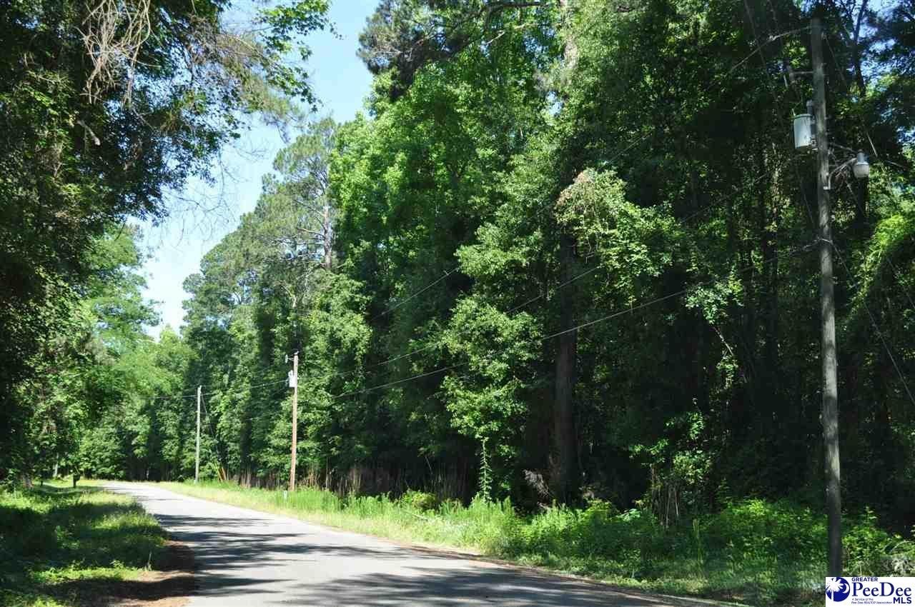 Other - TBD Lot 3K 3L Branchwood Road, Clio, SC