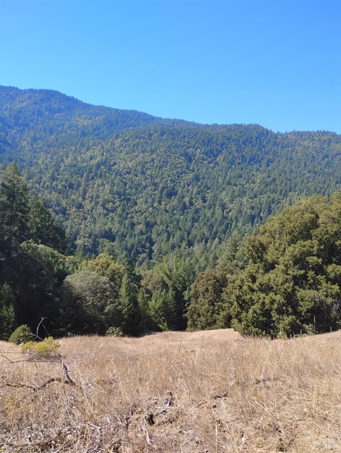 Other - 4100 Hansen Ranch Road, Piercy, CA