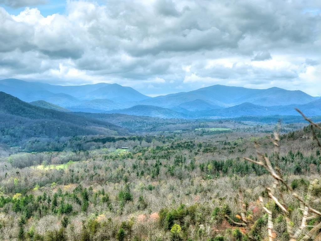 Other - Lot 29 Forest Drive, Morganton, GA