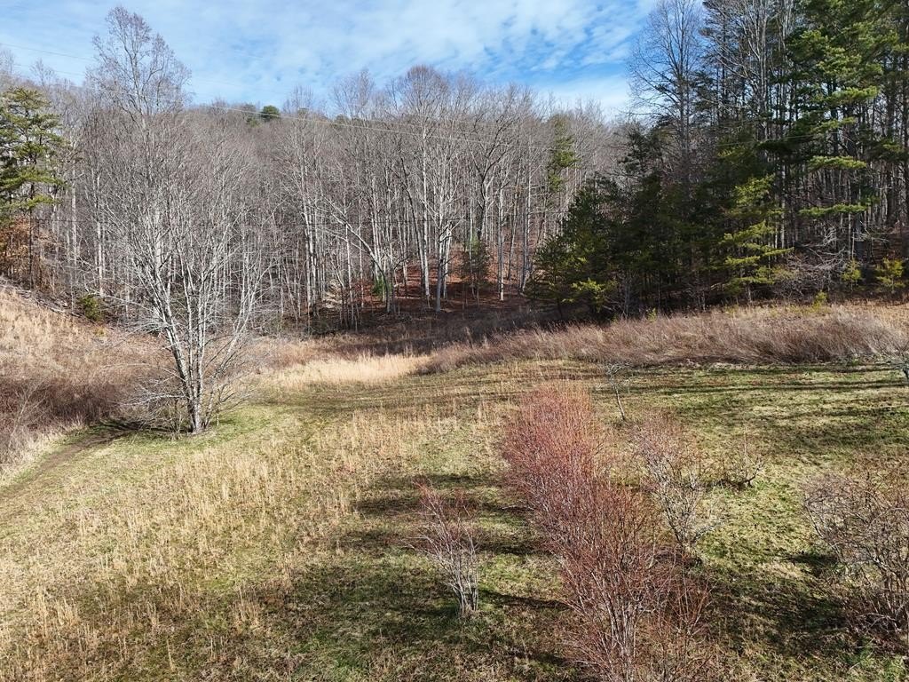 Other - Lot 1 Jordan Road, Blairsville, GA
