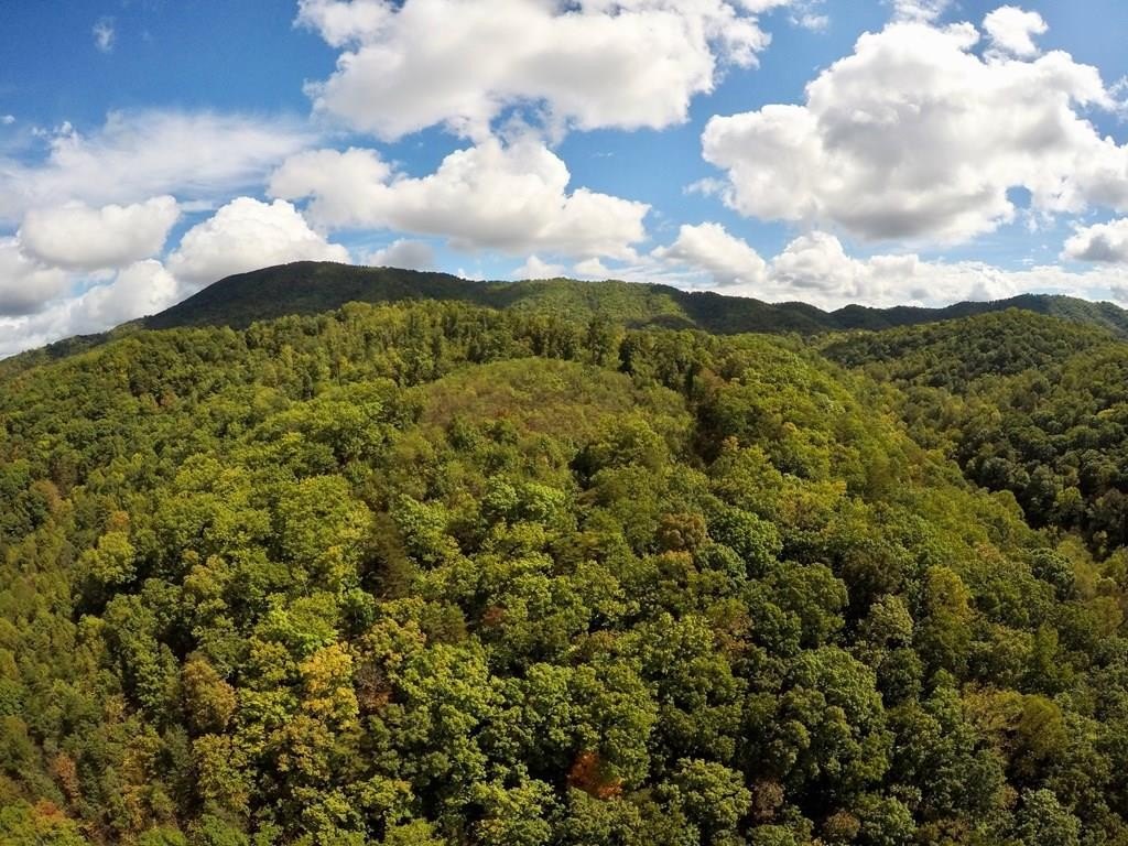 Other - Hogan Hollow Rd lot: 85-91 And 91B, Troutville, VA
