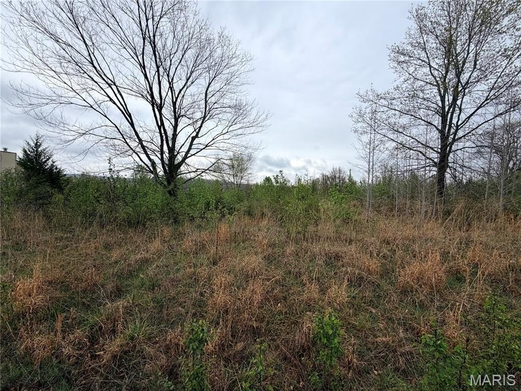 Other - 0 Salina Road, Waynesville, MO