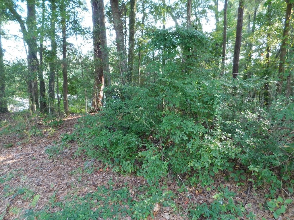 Single Family - 0 Briar Cliff Rd Lot 5 BK E, Ozark, AL
