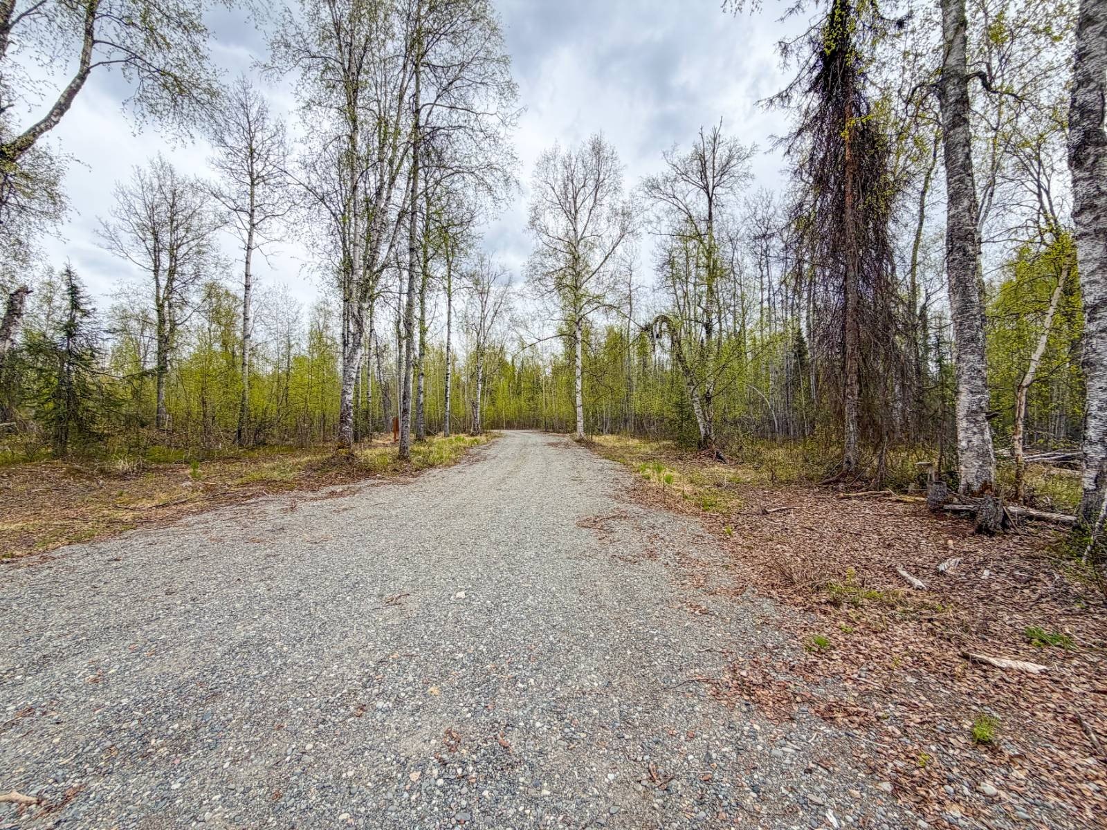 Other - 71420 S Betula Cir, Willow, AK