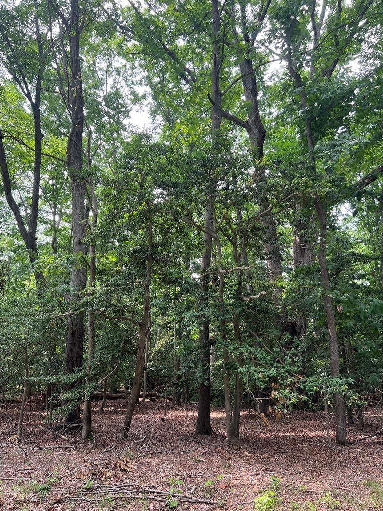 Single Family - Lot 2 Wittstat Lane, Heathsville, VA