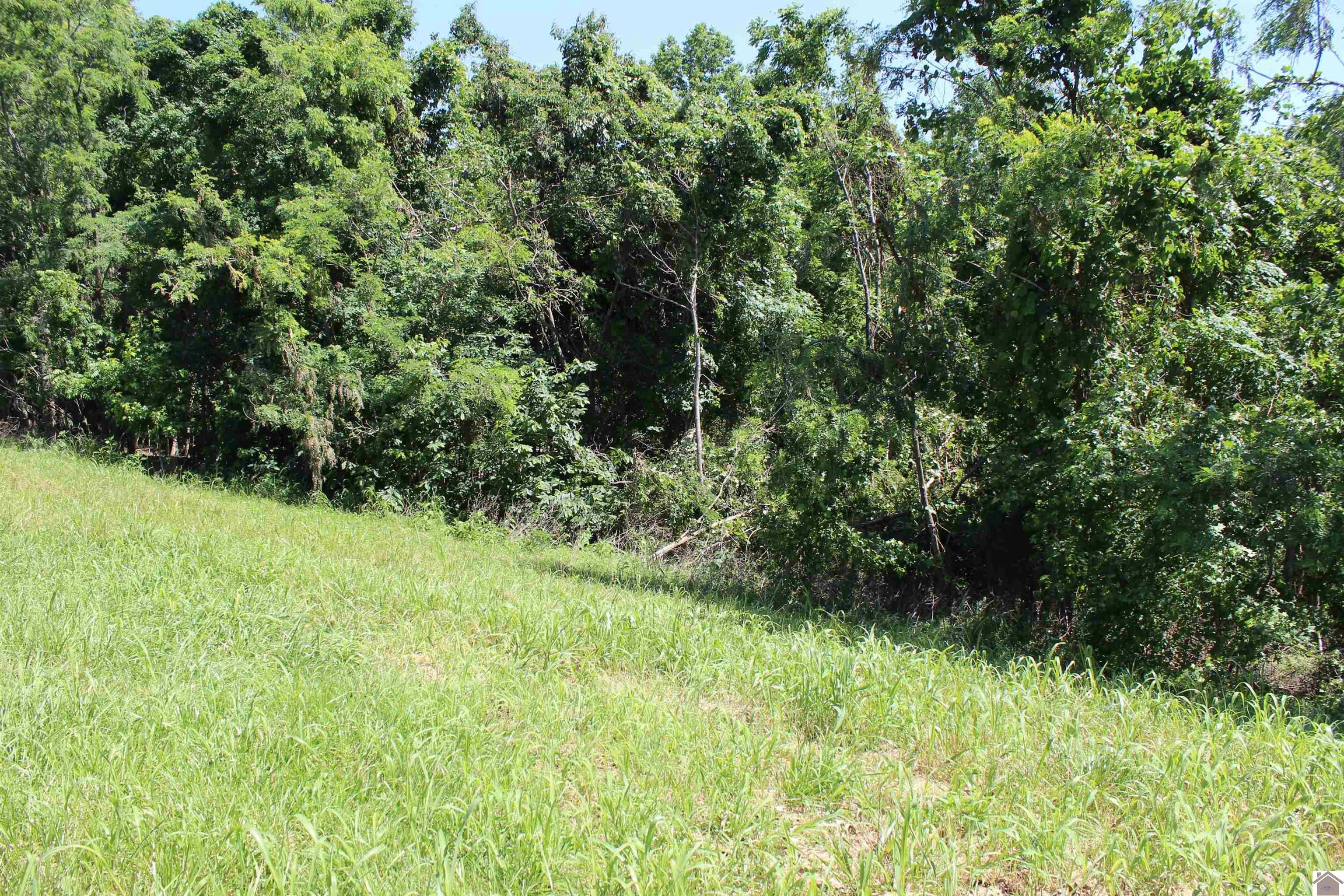 Other - Lots 15 Oak View Lane, Eddyville, KY