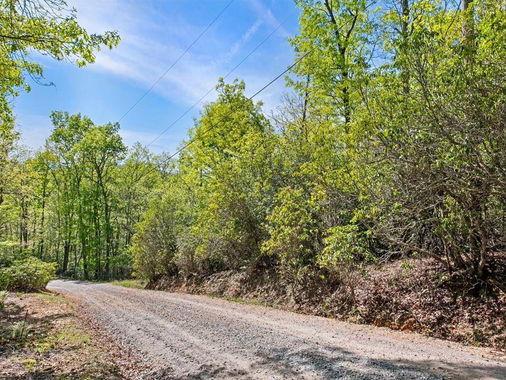 Other - Piney Grove Road lot: 1, Franklin, NC