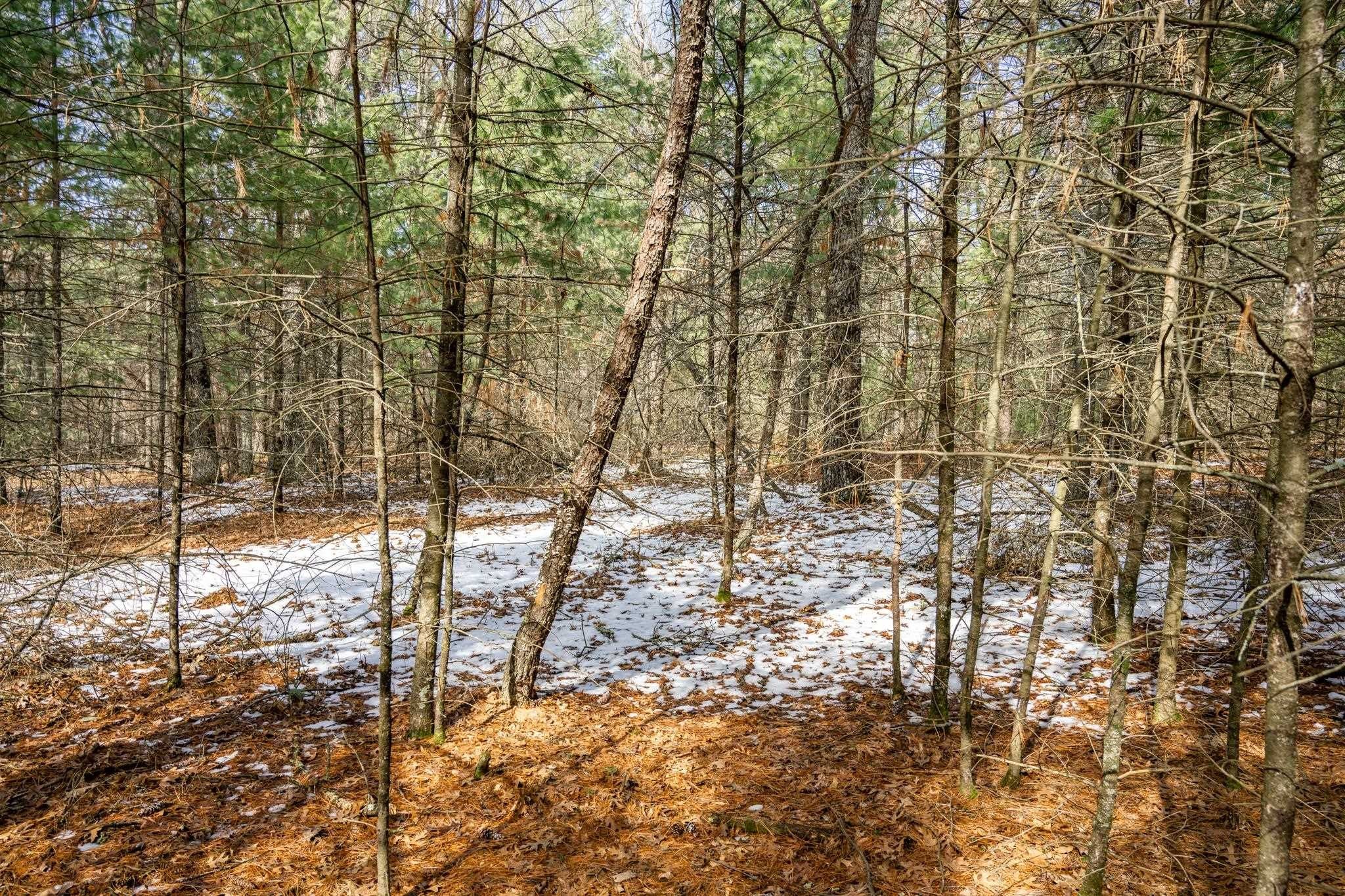 Other - Lot 38 S Badger Lane, Arkdale, WI