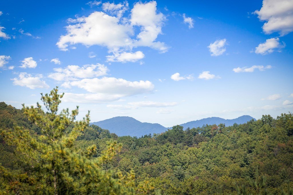 Other 4BR 4BA - 588 Bell Camp Ridge Road, Blue Ridge, GA