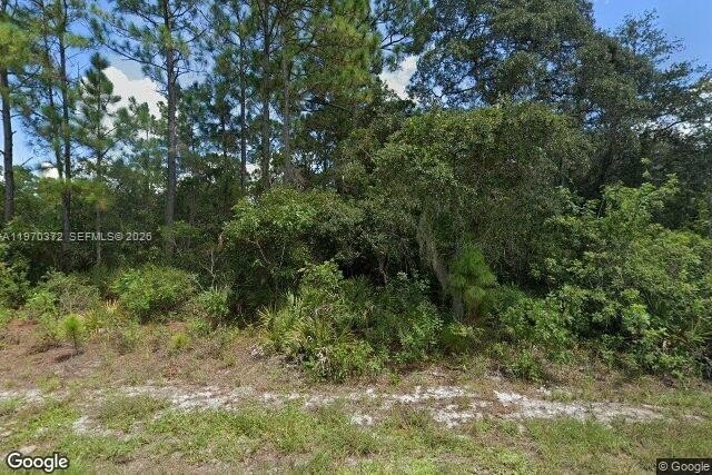 Other - 217 DREAMERS DR, Lake Placid, FL