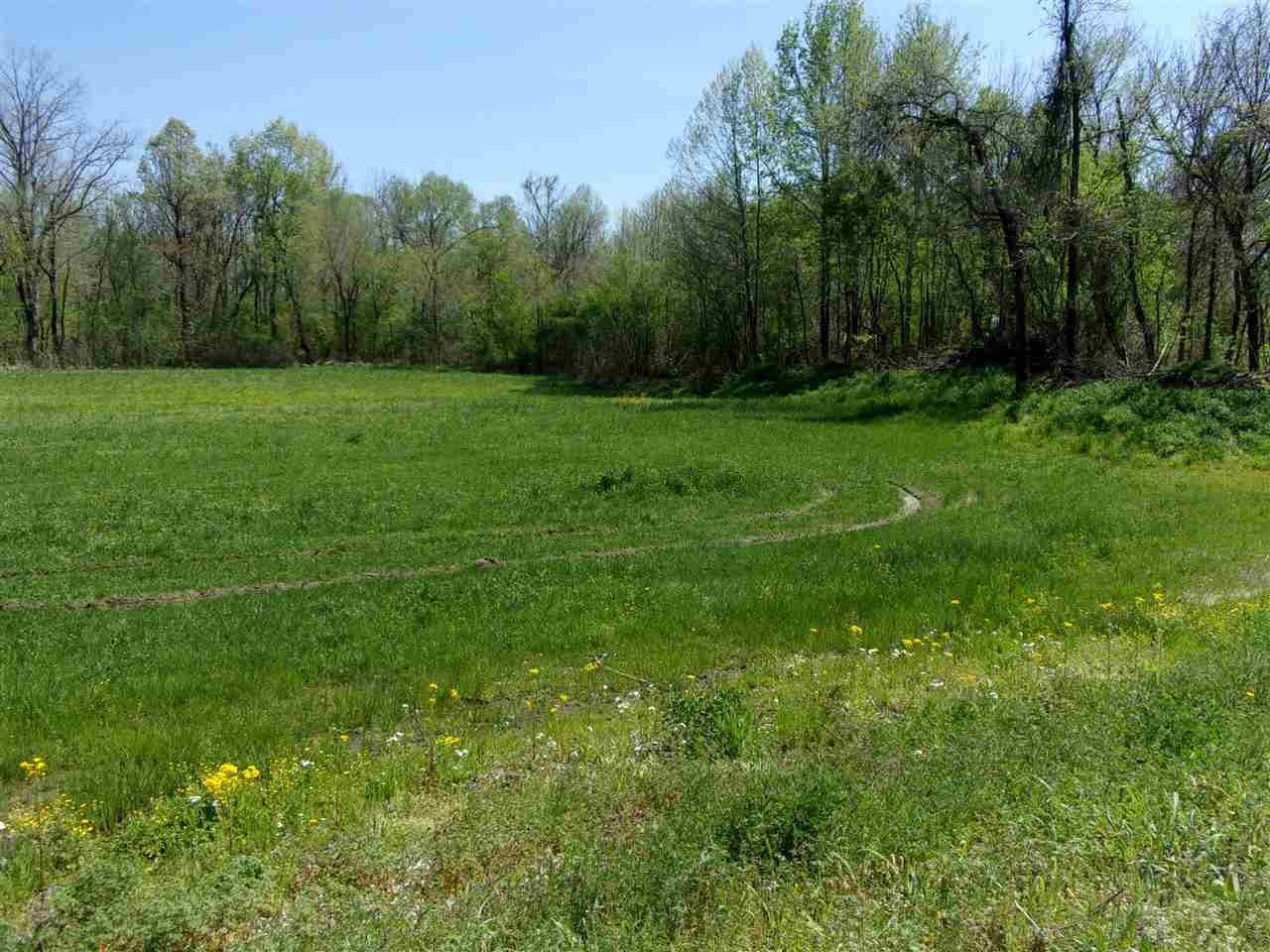 Other - LOVELACE CROSSING Rd, Henning, TN
