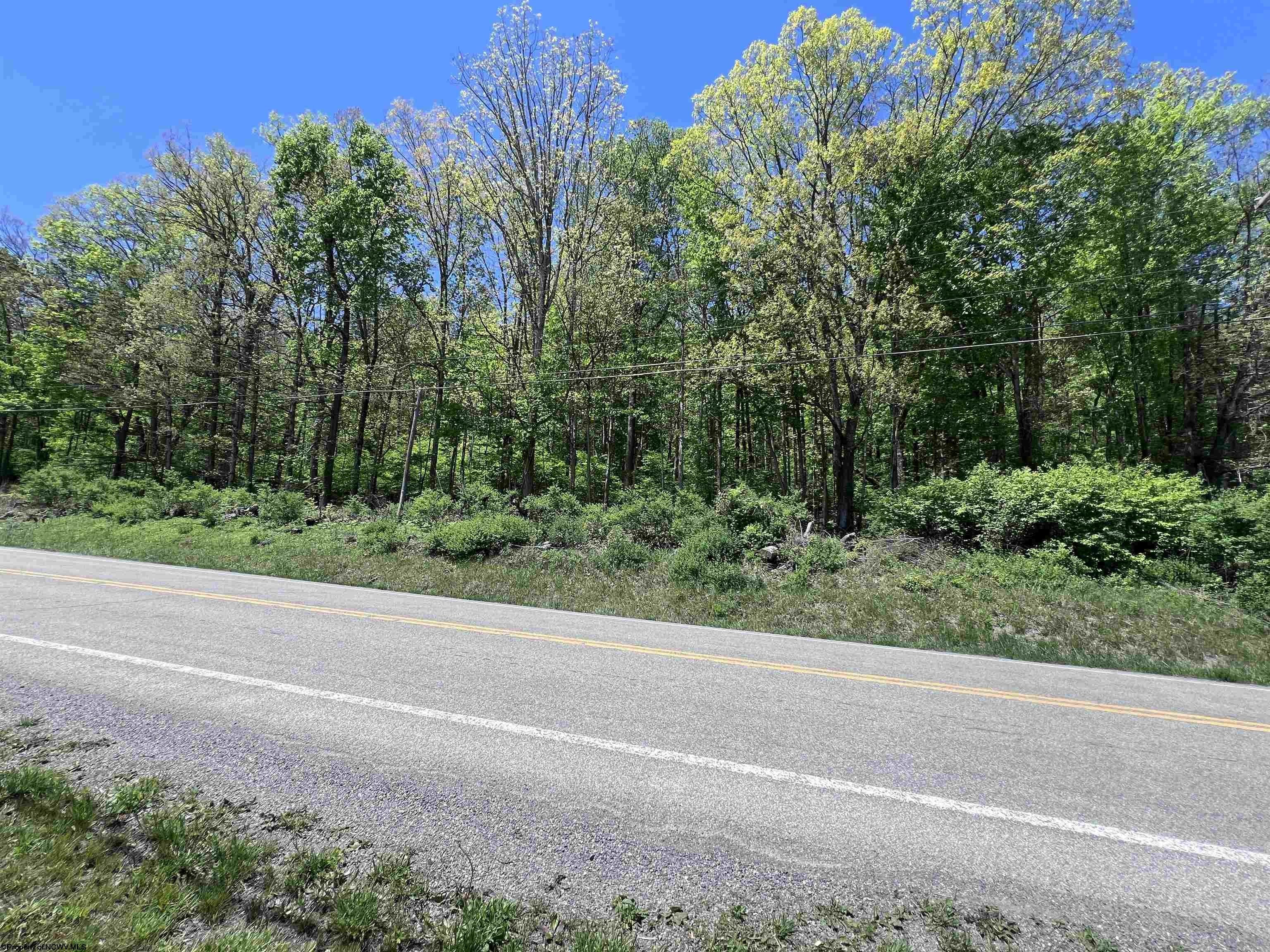 Other - TBD Rt. 219 Highway, Valley Bend, WV