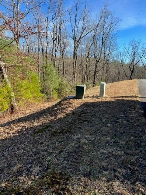 Other - Lot 9 Robert Drive, Ellijay, GA