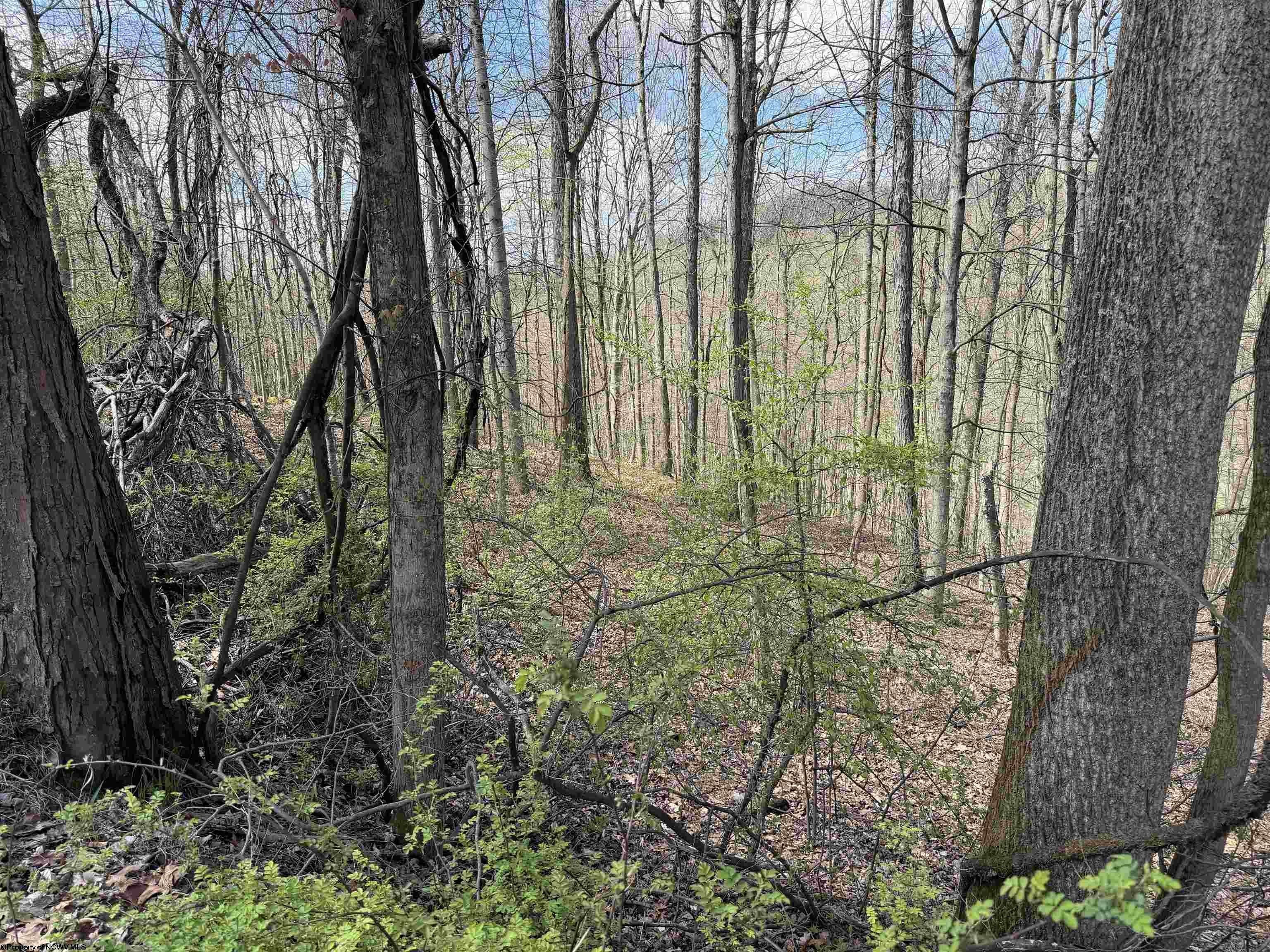 Other - Behlar Road, Maidsville, WV