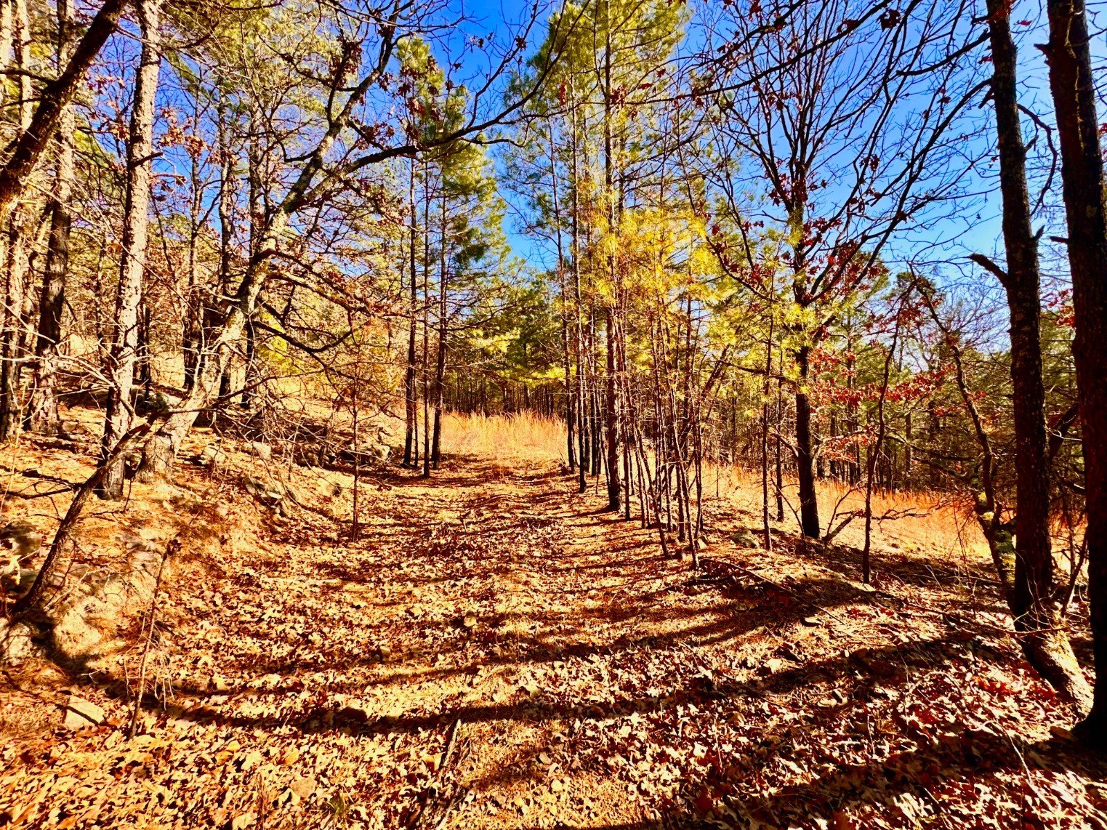 Other - 225 Acres, Red Oak, OK