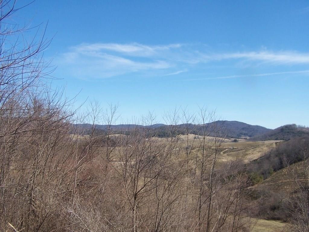 Other - Mountain Meadows Lane lot: #5, Elk Creek, VA